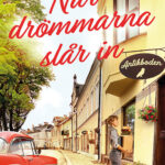 När drömmarna slår in